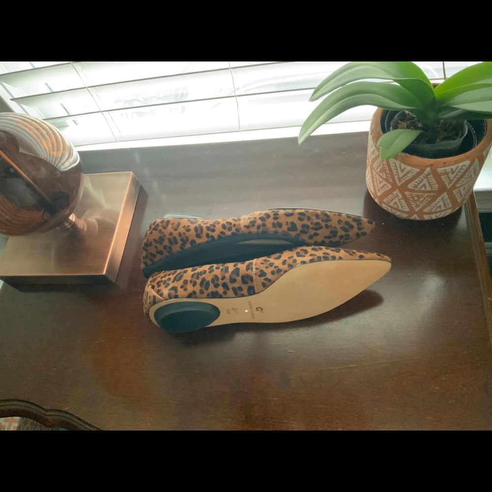 Leopard Corso Como Slippers - Picture 7 of 8